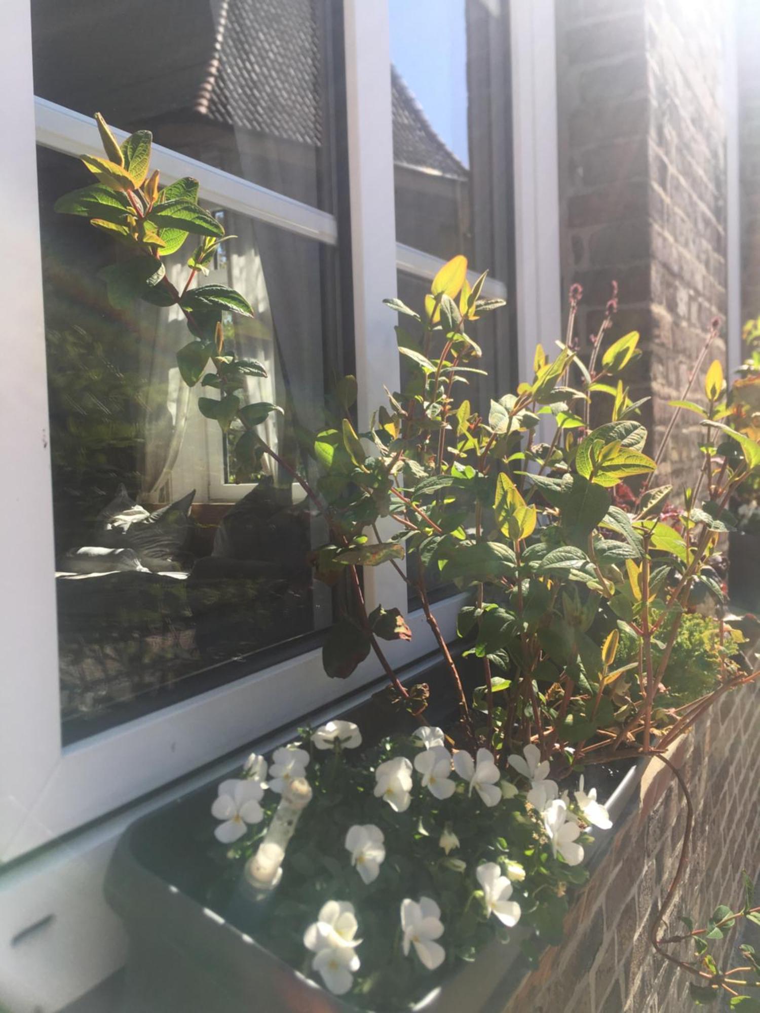 Bed and Breakfast Altes Pastorat Barmstedt Exterior foto